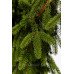 Ялина звичайна Інверса (Picea abies Inversa) stam 110-140cm
